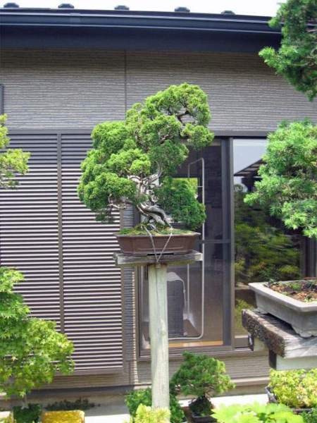 Maître_Keizo_ANDO_013.jpg
