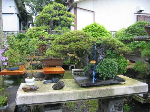 Maître_Hideo_SUZUKI_006.jpg