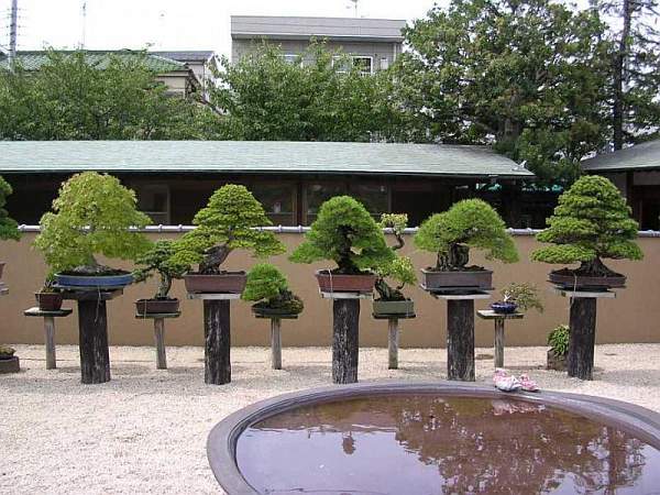Kunio Kobayashi