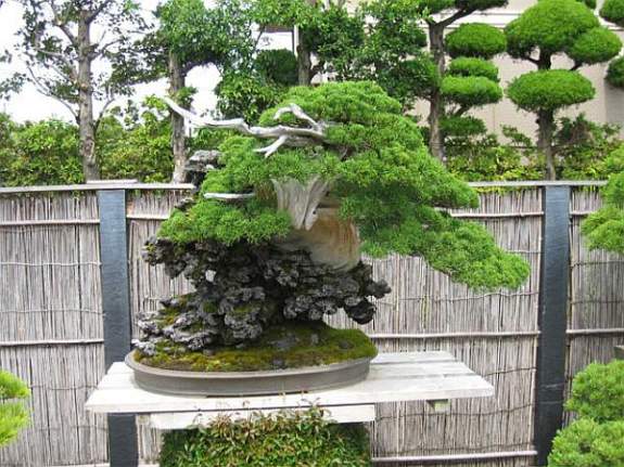 Maître_Masahiko_KIMURA_013.jpg
