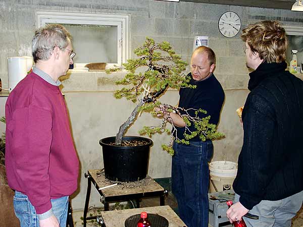Kiefer-Erwin06.jpg