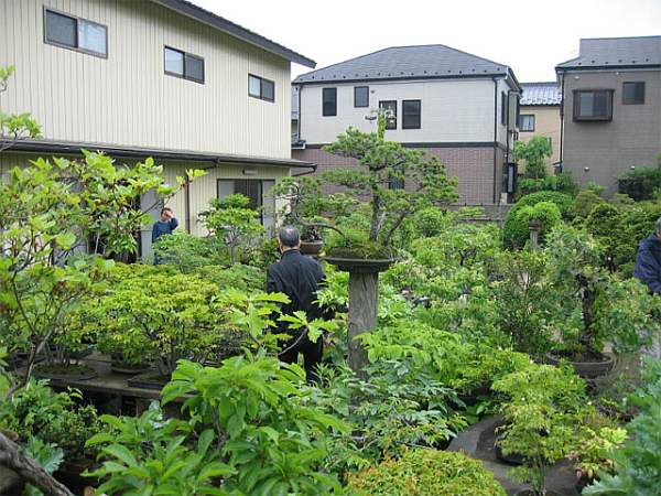 Maître_Isamu_MURATA_001.jpg