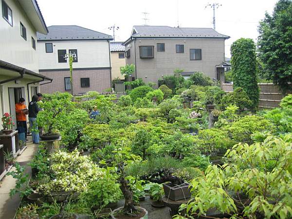 Maître_Isamu_MURATA_005.jpg