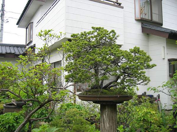 Maître_Isamu_MURATA_007.jpg