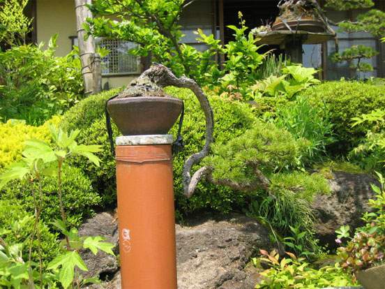 Maître_Kenichi_ABE_002.jpg