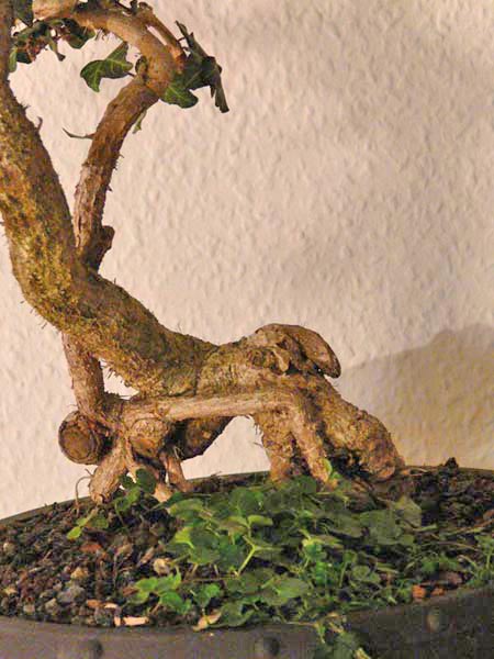 P1140129_web.jpg
