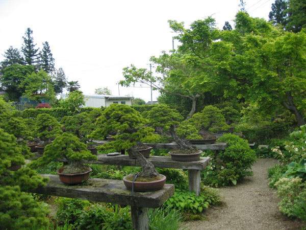 Maître_Kenichi_ABE_016.jpg