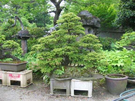 Maître_Kenichi_ABE_018.jpg