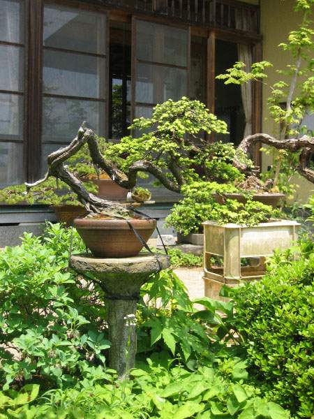Maître_Kenichi_ABE_022.jpg