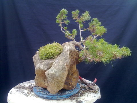 31012010283.jpg