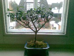 Abd_250x188.jpg