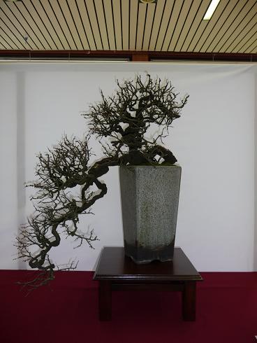 Ausstellung Belgien 20.02.2010 052.jpg