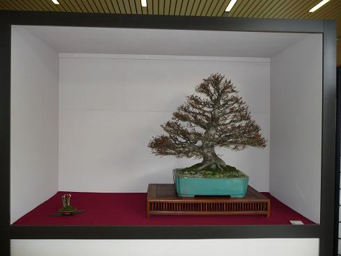 Ausstellung Belgien 20.02.2010 057.jpg