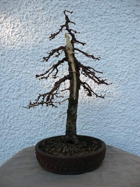 comp_2010_02_21.jpg