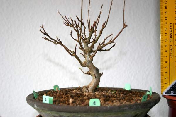 240210_Buergerianum_1.jpg