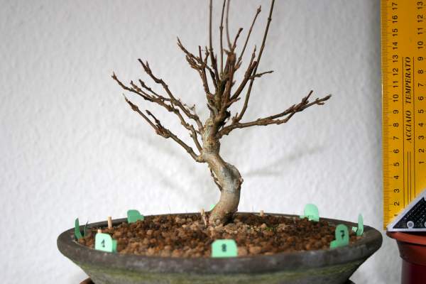 240210_Buergerianum_8b.jpg