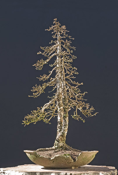 NSC_9029ofv.jpg