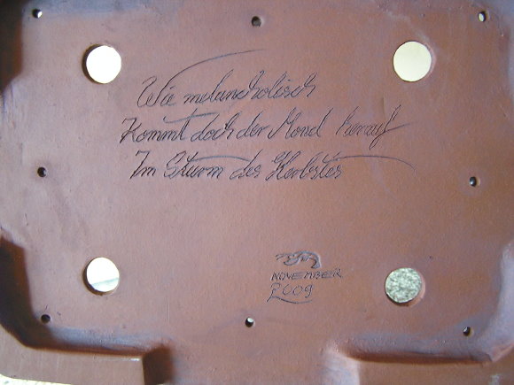 Schale Lärche 003.jpg