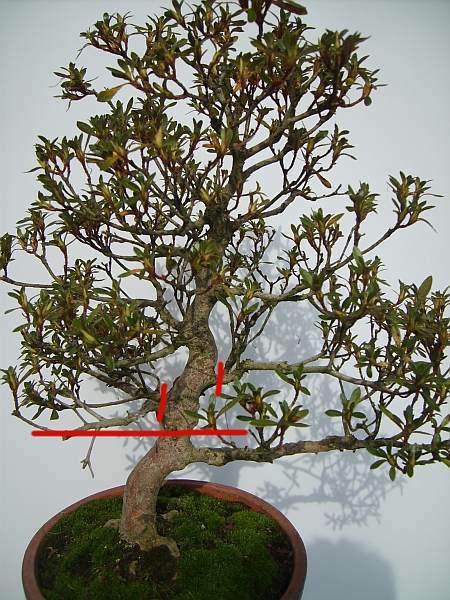 Azalee Abmoosen 70.jpg