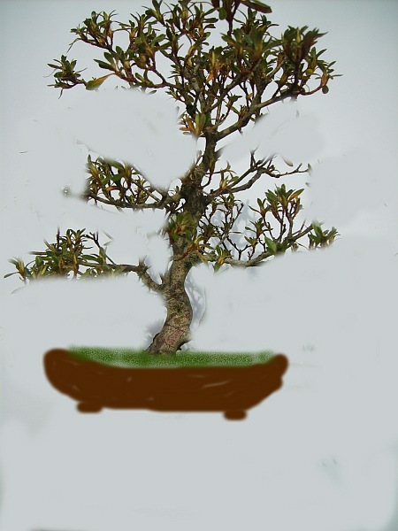 abmoosen 2-70.jpg