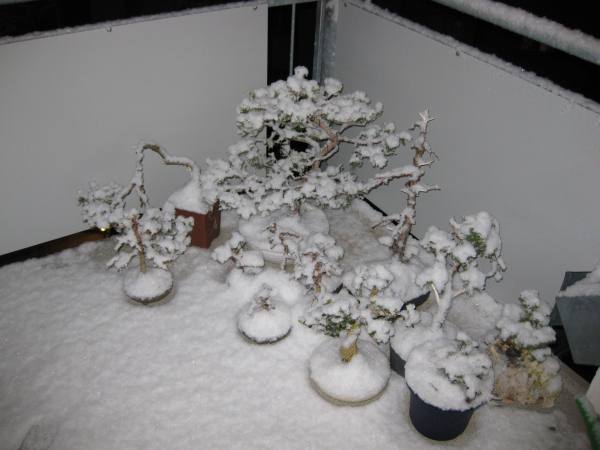 Winter.jpg