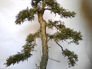 Picture0020.jpg