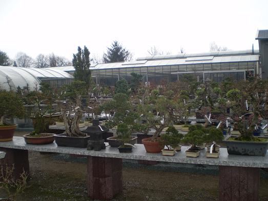 15.JPG