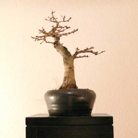 P1140319.JPG
