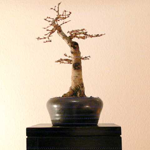 P1140320.JPG