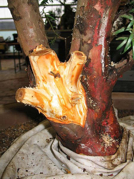 zaghaftes ´rantasten