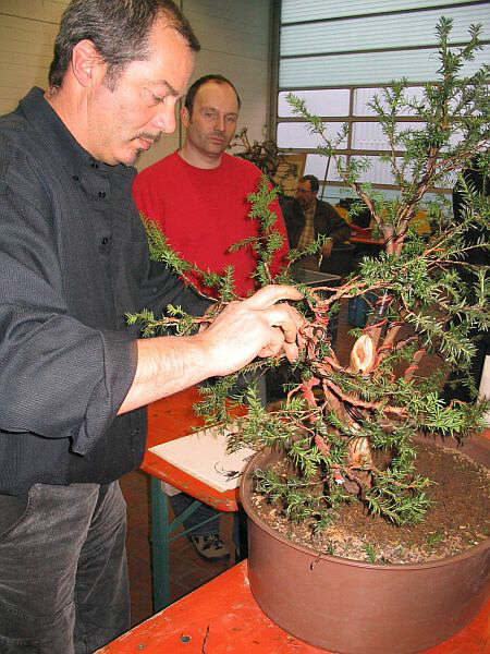Wer mich kennt wird sich denken können, daß Herr Noelanders keine Sekunde unbeobachtet an meinem Baum arbeiten konnte. ;-)