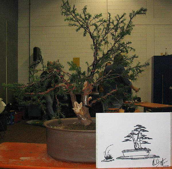 Als Herr Noelanders diesen Fotoaufbau sah nannte er den Baum "Hiroshima", ich denke nicht, daß ich DEN Namen behalten möchte!