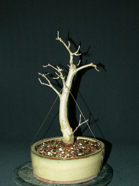 bPICT0039.jpg