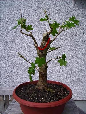 PICT02321.JPG