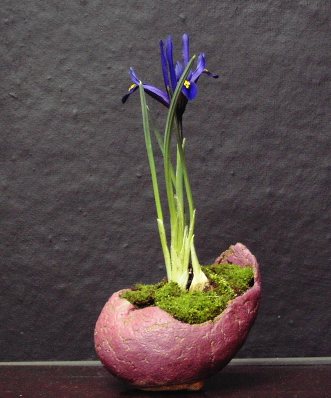 Iris joyce2.jpg