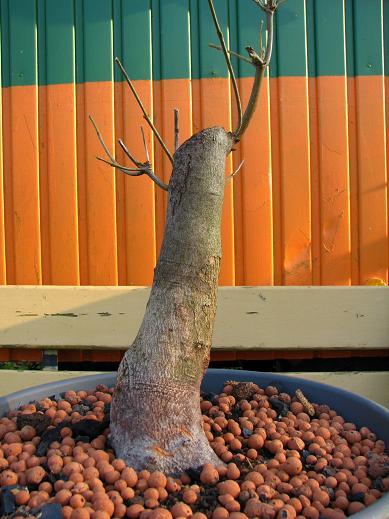 Ostern 2010 046-1.JPG