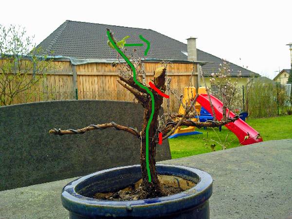 Meine Planung