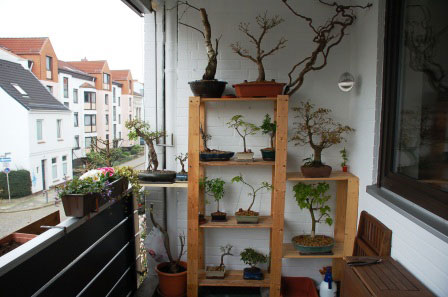 Balkon.jpg