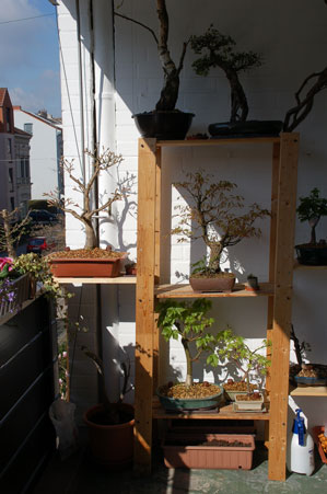Balkon-Sonne.jpg