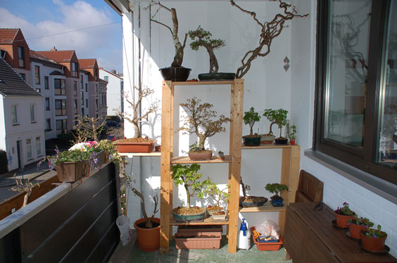 Balkon-Sonne1.jpg