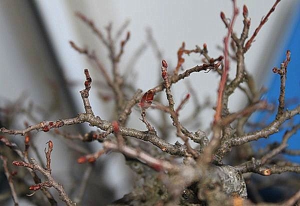ganz am Anfang,im Februar