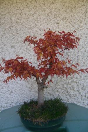 100_6459_300x450.jpg