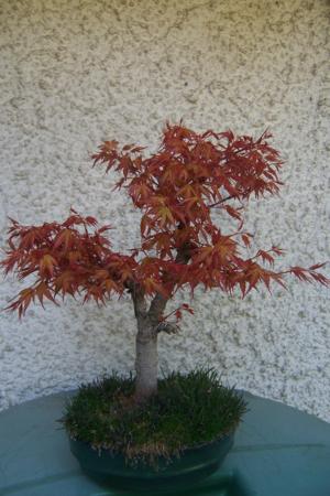 100_6461_300x450.jpg