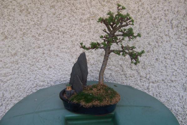 100_6463_600x400.jpg