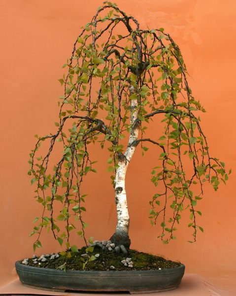 comp_Bild 068a.jpg