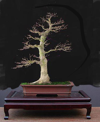 crw_00093.jpg