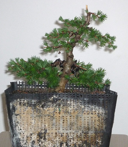 laerche_schmieda_0410_01.jpg