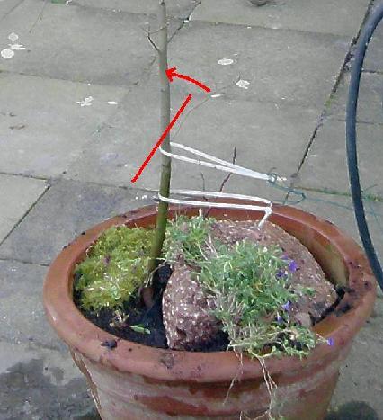 2.JPG