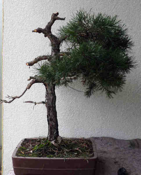 P1020121.jpg