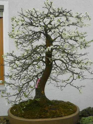 DSCN4465.JPG